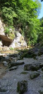 452593035_26223597213952042_5721090914947309931_n