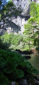 452638238_26223592703952493_3205751847087211388_n